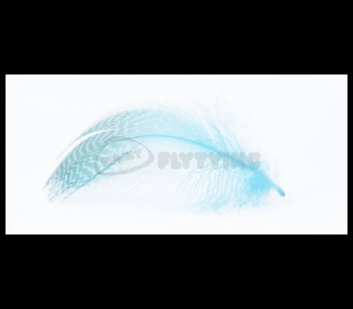 Nature's Spirit Gadwell Flank Feathers - Funky Fly Tying 10 Nature's Spirit Gadwell Flank Feathers - Funky Fly Tying - Image 8