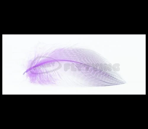 Nature's Spirit Gadwell Flank Feathers - Funky Fly Tying 6 Nature's Spirit Gadwell Flank Feathers - Funky Fly Tying - Image 4