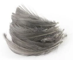 Nature's Spirit Goose Flank Spey Hackle - Funky Fly Tying -Fishing Accessories Store Natures Spirit Goose Flank Spey Hackle Heron Grey 1