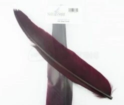 Nature's Spirit Goose Quill Body - Funky Fly Tying 32 Nature's Spirit Goose Quill Body - Funky Fly Tying -Fishing Accessories Store Natures Spirit Goose Quills Deep Claret