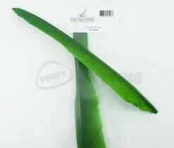 Nature's Spirit Goose Quill Body - Funky Fly Tying 27 Nature's Spirit Goose Quill Body - Funky Fly Tying -Fishing Accessories Store Natures Spirit Goose Quills Green 1