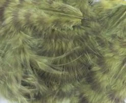 Nature's Spirit Grizzly Marabou - Funky Fly Tying -Fishing Accessories Store Natures Spirit Grizzly Marabou Dark Olive 1
