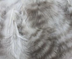 Nature's Spirit Grizzly Marabou - Funky Fly Tying -Fishing Accessories Store Natures Spirit Grizzly Marabou Natural