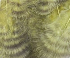 Nature's Spirit Grizzly Marabou - Funky Fly Tying