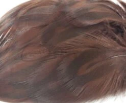 Nature's Spirit Hen Mallard Flanks - Funky Fly Tying -Fishing Accessories Store Natures Spirit Hen Mallard Flanks Brown 1