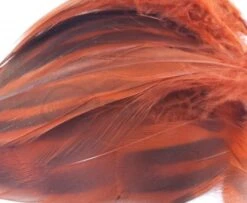 Nature's Spirit Hen Mallard Flanks - Funky Fly Tying -Fishing Accessories Store Natures Spirit Hen Mallard Flanks Crawdad Orange 1