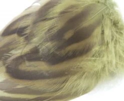 Nature's Spirit Hen Mallard Flanks - Funky Fly Tying -Fishing Accessories Store Natures Spirit Hen Mallard Flanks Dark Olive