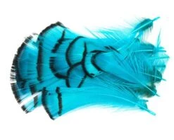 Nature's Spirit Lady Amherst Assorted Tippets Dyed - Funky Fly Tying 34 Nature's Spirit Lady Amherst Assorted Tippets Dyed - Funky Fly Tying -Fishing Accessories Store Natures Spirit Lady Amherst Assorted Tippets Dyed Fluo Blue