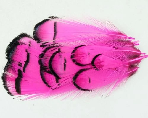 Nature's Spirit Lady Amherst Assorted Tippets Dyed - Funky Fly Tying 11 Nature's Spirit Lady Amherst Assorted Tippets Dyed - Funky Fly Tying - Image 9