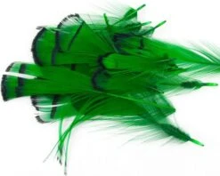 Nature's Spirit Lady Amherst Assorted Tippets Dyed - Funky Fly Tying 28 Nature's Spirit Lady Amherst Assorted Tippets Dyed - Funky Fly Tying -Fishing Accessories Store Natures Spirit Lady Amherst Assorted Tippets Dyed Highlander Green