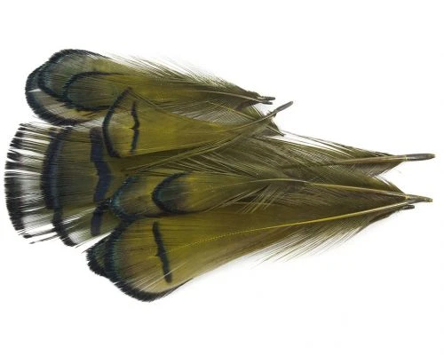 Nature's Spirit Lady Amherst Assorted Tippets Dyed - Funky Fly Tying 6 Nature's Spirit Lady Amherst Assorted Tippets Dyed - Funky Fly Tying - Image 4