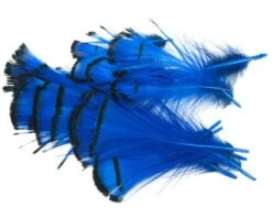Nature's Spirit Lady Amherst Assorted Tippets Dyed - Funky Fly Tying 41 Nature's Spirit Lady Amherst Assorted Tippets Dyed - Funky Fly Tying -Fishing Accessories Store Natures Spirit Lady Amherst Assorted Tippets Dyed Royal Blue 1