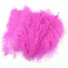 Nature's Spirit Ostrich Belly Spey Plumes - Funky Fly Tying 1 Nature's Spirit Ostrich Belly Spey Plumes - Funky Fly Tying -Fishing Accessories Store Natures Spirit Ostrich Belly Spey Plumes Fluo Hot Pink