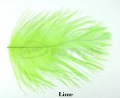 Nature's Spirit Ostrich Herl Pieces - Funky Fly Tying 35 Nature's Spirit Ostrich Herl Pieces - Funky Fly Tying -Fishing Accessories Store Natures Spirit Ostrich Pieces Lime 1