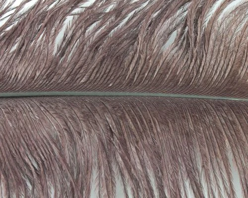 Nature's Spirit Ostrich Plumes 10"-12" - Funky Fly Tying 19 Nature's Spirit Ostrich Plumes 10"-12" - Funky Fly Tying - Image 17