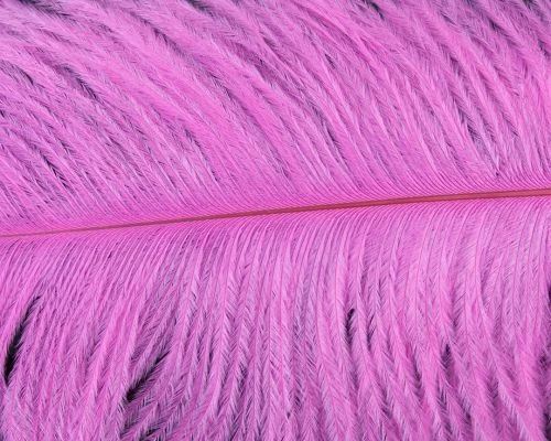 Nature's Spirit Ostrich Plumes 10"-12" - Funky Fly Tying 16 Nature's Spirit Ostrich Plumes 10"-12" - Funky Fly Tying - Image 14
