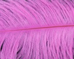 Nature's Spirit Ostrich Plumes 10"-12" - Funky Fly Tying 34 Nature's Spirit Ostrich Plumes 10"-12" - Funky Fly Tying -Fishing Accessories Store Natures Spirit Ostrich Plumes 10 12 Fluo Hot Pink