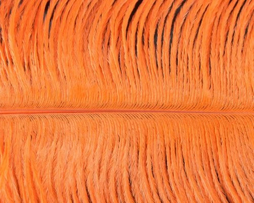 Nature's Spirit Ostrich Plumes 10"-12" - Funky Fly Tying 7 Nature's Spirit Ostrich Plumes 10"-12" - Funky Fly Tying - Image 5