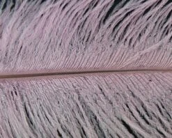 Nature's Spirit Ostrich Plumes 10"-12" - Funky Fly Tying 24 Nature's Spirit Ostrich Plumes 10"-12" - Funky Fly Tying -Fishing Accessories Store Natures Spirit Ostrich Plumes 10 12 Pink