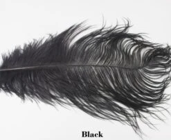 Nature's Spirit Ostrich Plumes 14"-16" - Funky Fly Tying -Fishing Accessories Store Natures Spirit Ostrich Plumes 14 16 Black