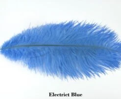 Nature's Spirit Ostrich Plumes 14"-16" - Funky Fly Tying -Fishing Accessories Store Natures Spirit Ostrich Plumes 14 16 Electric Blue
