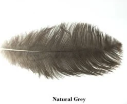 Nature's Spirit Ostrich Plumes 14"-16" - Funky Fly Tying -Fishing Accessories Store Natures Spirit Ostrich Plumes 14 16 Natural Grey