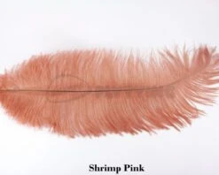 Nature's Spirit Ostrich Plumes 14"-16" - Funky Fly Tying -Fishing Accessories Store Natures Spirit Ostrich Plumes 14 16 Shrimp Pink 1