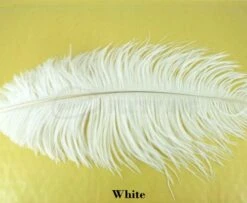 Nature's Spirit Ostrich Plumes 14"-16" - Funky Fly Tying -Fishing Accessories Store Natures Spirit Ostrich Plumes 14 16 White 1