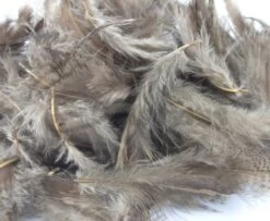Nature's Spirit Premium Partridge Feathers - Funky Fly Tying -Fishing Accessories Store Natures Spirit Premium Partridge feathers Brown 1