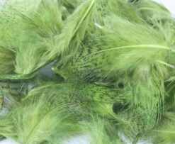 Nature's Spirit Premium Partridge Feathers - Funky Fly Tying -Fishing Accessories Store Natures Spirit Premium Partridge feathers Caddis Green 1