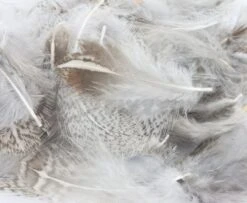 Nature's Spirit Premium Partridge Feathers - Funky Fly Tying