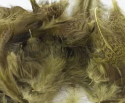 Nature's Spirit Premium Partridge Feathers - Funky Fly Tying -Fishing Accessories Store Natures Spirit Premium Partridge feathers Olive