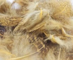 Nature's Spirit Premium Partridge Feathers - Funky Fly Tying -Fishing Accessories Store Natures Spirit Premium Partridge feathers Sulphur Orange