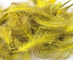 Nature's Spirit Premium Partridge Feathers - Funky Fly Tying -Fishing Accessories Store Natures Spirit Premium Partridge feathers yellow 1
