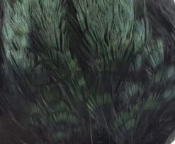 Fish Hunter Ringneck Pheasant Rump Patch - Funky Fly Tying -Fishing Accessories Store Natures Spirit Ringneck Pheasant Rump Patch Black