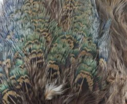 Fish Hunter Ringneck Pheasant Rump Patch - Funky Fly Tying -Fishing Accessories Store Natures Spirit Ringneck Pheasant Rump Patch Brown