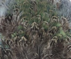 Fish Hunter Ringneck Pheasant Rump Patch - Funky Fly Tying -Fishing Accessories Store Natures Spirit Ringneck Pheasant Rump Patch Muskrat Grey