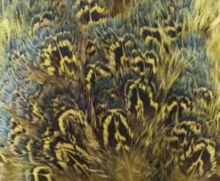 Fish Hunter Ringneck Pheasant Rump Patch - Funky Fly Tying -Fishing Accessories Store Natures Spirit Ringneck Pheasant Rump Patch Yellow