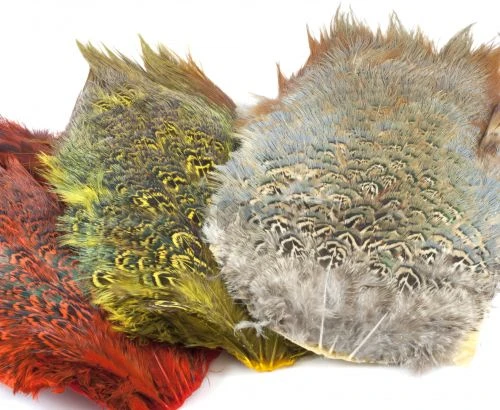 Fish Hunter Ringneck Pheasant Rump Patch - Funky Fly Tying