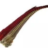 Nature's Spirit Ringneck Pheasant Tail Clumps - Funky Fly Tying 2 Nature's Spirit Ringneck Pheasant Tail Clumps - Funky Fly Tying -Fishing Accessories Store Natures Spirit Ringneck Pheasant Tail Clumps 1