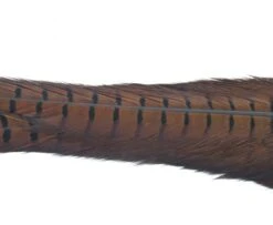 Nature's Spirit Ringneck Pheasant Tail Clumps - Funky Fly Tying -Fishing Accessories Store Natures Spirit Ringneck Pheasant Tail Clumps Brown