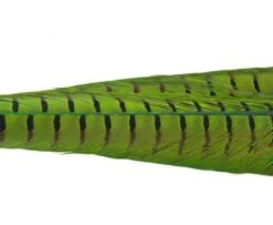 Nature's Spirit Ringneck Pheasant Tail Clumps - Funky Fly Tying -Fishing Accessories Store Natures Spirit Ringneck Pheasant Tail Clumps Caddis Green 1