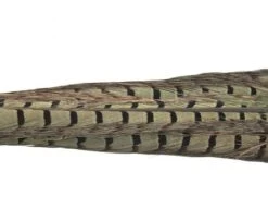 Nature's Spirit Ringneck Pheasant Tail Clumps - Funky Fly Tying -Fishing Accessories Store Natures Spirit Ringneck Pheasant Tail Clumps Muskrat Grey