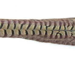 Nature's Spirit Ringneck Pheasant Tail Clumps - Funky Fly Tying -Fishing Accessories Store Natures Spirit Ringneck Pheasant Tail Clumps Natural 1