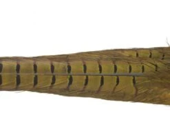 Nature's Spirit Ringneck Pheasant Tail Clumps - Funky Fly Tying -Fishing Accessories Store Natures Spirit Ringneck Pheasant Tail Clumps Olive 1