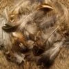 Natures Spirit Ruffed Grouse Feathers - Funky Fly Tying 1 Natures Spirit Ruffed Grouse Feathers - Funky Fly Tying -Fishing Accessories Store Natures Spirit Ruffed Grouse Feathers