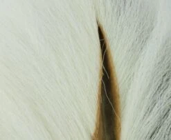 Nature's Spirit Select Bucktails - Funky Fly Tying -Fishing Accessories Store Natures Spirit Select Bucktails Natural 1