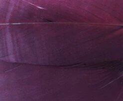 Nature's Spirit Select Goose Shoulder Feathers - Funky Fly Tying -Fishing Accessories Store Natures Spirit Select Goose Shoulder Feathers Claret 1