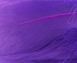 Nature's Spirit Select Goose Shoulder Feathers - Funky Fly Tying -Fishing Accessories Store Natures Spirit Select Goose Shoulder Feathers Fl Purple 1