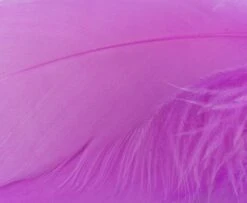 Nature's Spirit Select Goose Shoulder Feathers - Funky Fly Tying -Fishing Accessories Store Natures Spirit Select Goose Shoulder Feathers Fluo Hot Pink